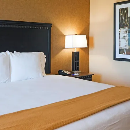 Holiday Inn Express Hotel & Suites Ennis By Ihg-3