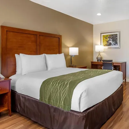 Comfort Inn Bishop-2
