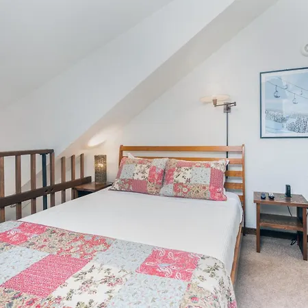 Manitou Lodge 11 By Alpine Lodging Telluride-2