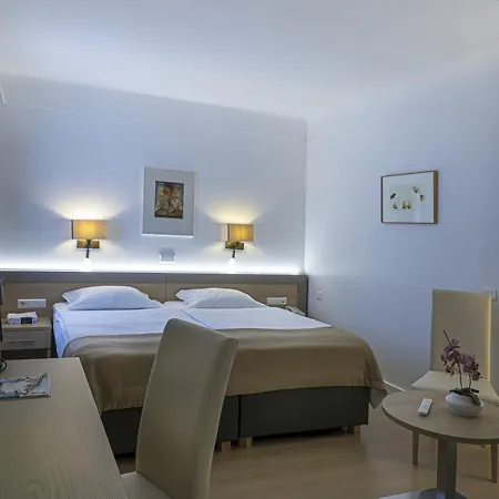 Hotel Francais-2