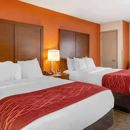 Comfort Inn Greensboro - Kernersville-3