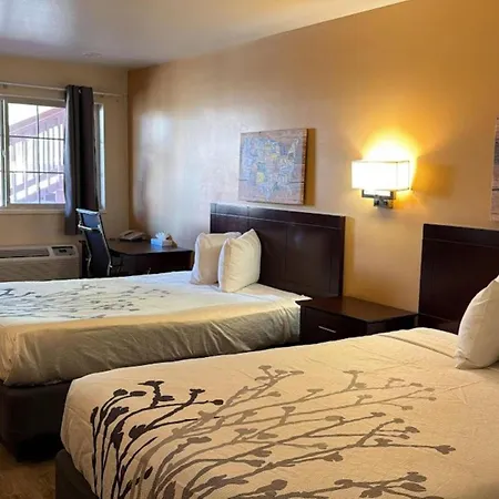 Econo Lodge Inn & Suites Montrose - Black Canyon Area-2