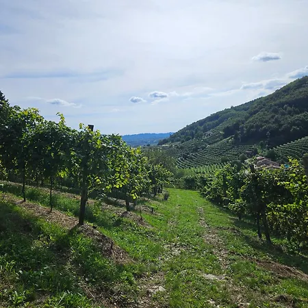 Le Zitelle di Ron-3