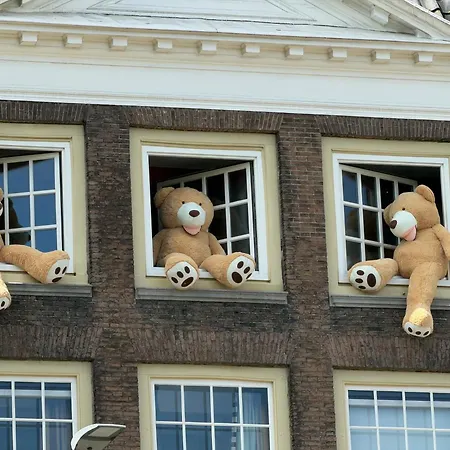 B&B Montancourt-Middelburg-3