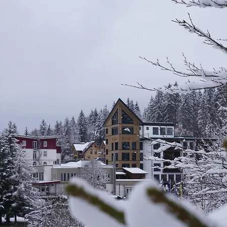 Das Waldhotel - Genuss&Wellness am Notschreipass-3