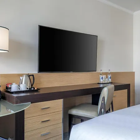 Hilton Geneva Hotel&Conference Centre-2