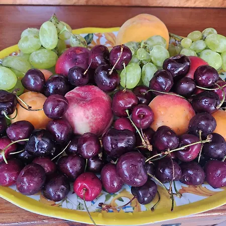 Bed&Breakfast Delle Palme-3