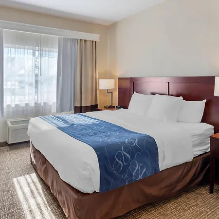 Comfort Suites Normal University Area-2