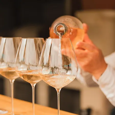 Domaine Rabiega - Vineyard&Boutique hotel-3