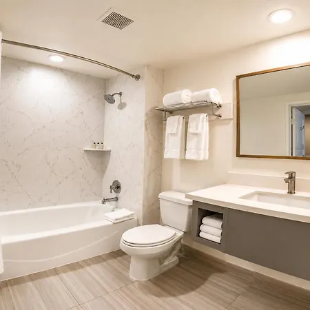 The Volare, An Ascend Collection Hotel-3