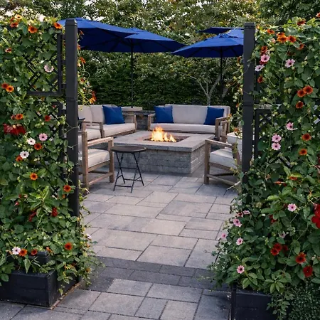 The Trellis House-3