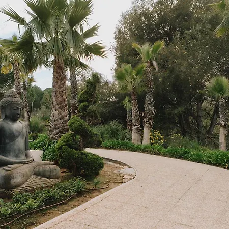 Shanti Som-2