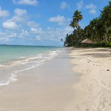Sonho Nosso-2
