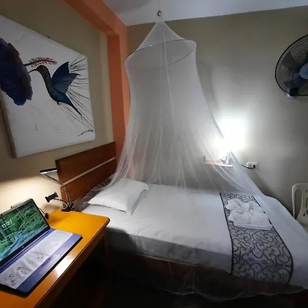 Amazon House Hostel-3
