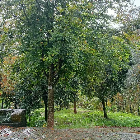 Vianashome-2