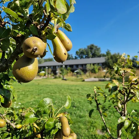 Amsterdam Farm Lodge-3