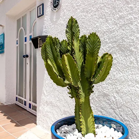 Smart Hotel Cabo Sur-2