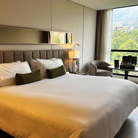 York Medellin, Curio Collection By Hilton-2