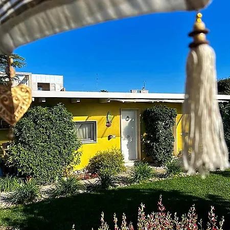 La Casa Particular (Adults Only)-3