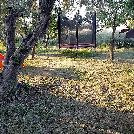 Casale della rosa-2