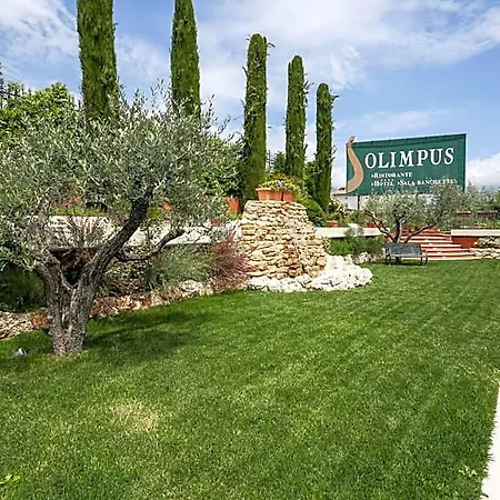 Olimpus-3
