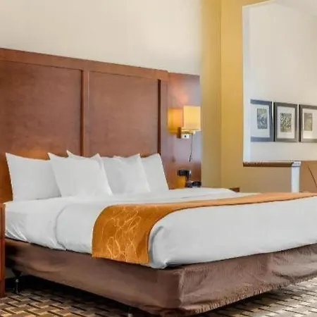 Comfort Inn Summerville - Charleston-2