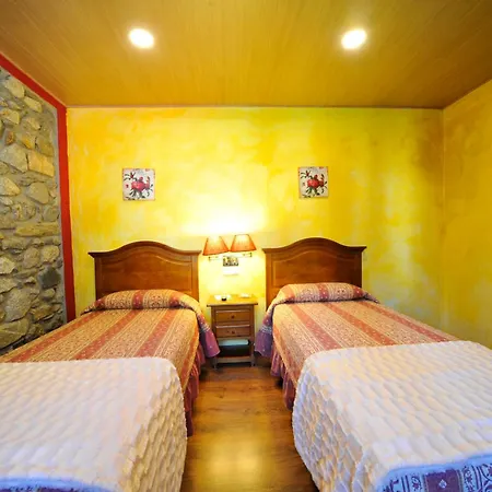 Hotel y Hostal Vall d Aneu-2