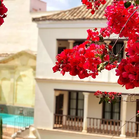 Las Casas de la Judería de Córdoba-2