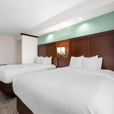 Comfort Suites New Bern Near Cherry Point-3