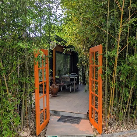 Bamboo Guest House-2