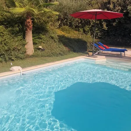 Le MAS du Sud-2