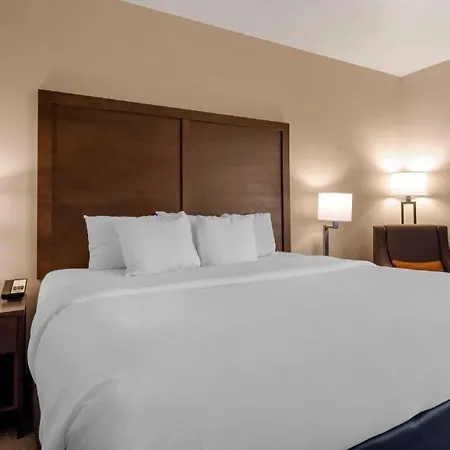 Comfort Inn & Suites Macon-3