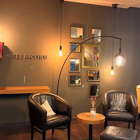 Hotel Bacchus-3