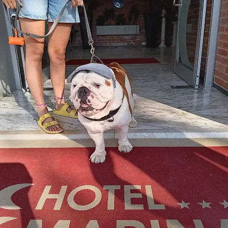 Hotel Marina-3