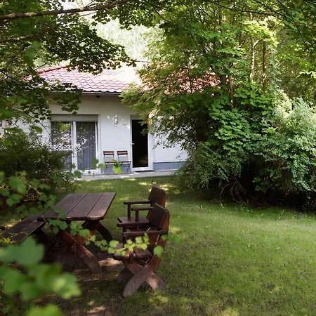 Springbach-Mühle Belzig-2