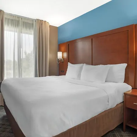Comfort Suites Huntersville Near Lake Norman-3