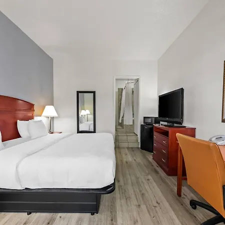 Quality Inn Weeki Wachee - Spring Hill-2