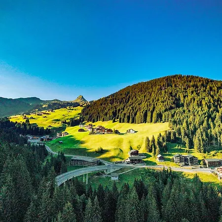 Aparthotel Alpinresort Damuels-3