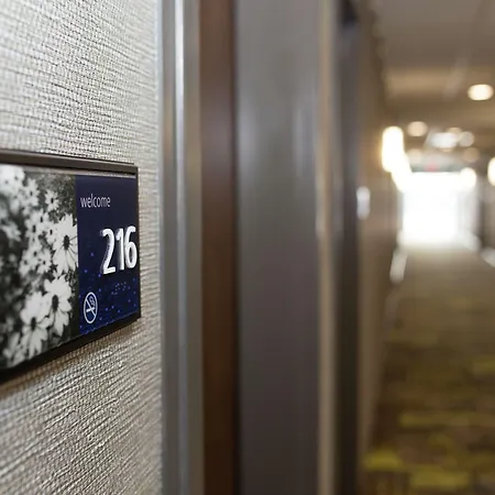 Hampton Inn And Suites Dundee-2