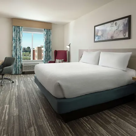 Hilton Garden Inn Olive Branch, Ms-2