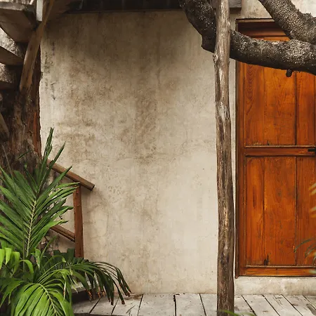 Casa Coyote Tulum-3
