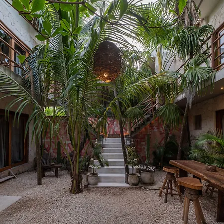 Casa Coyote Tulum-2