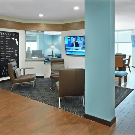 Towneplace Suites By Marriott Tampa South-3