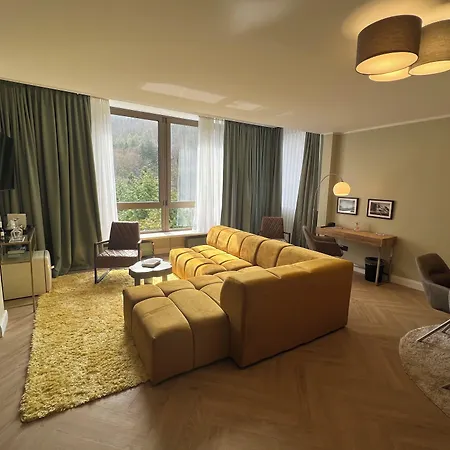 Harz Hotel & Spa Seela-3