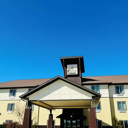 Black Gold Suites-2