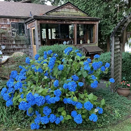 Cottage Lake Bed And Breakfast-3