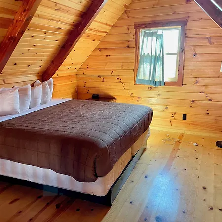 Cabins Of Mackinac & Lodge-2