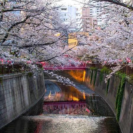 Tokyu Stay Meguro Yutenji-3