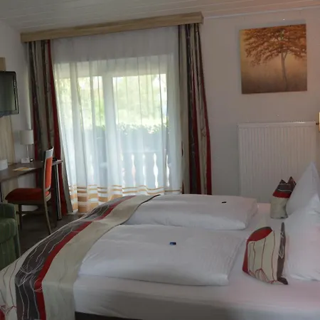 Alpina Hotel-2