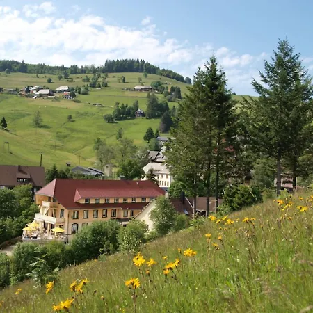 Grüner Baum Naturparkhotel&Schwarzwald-Restaurant-2